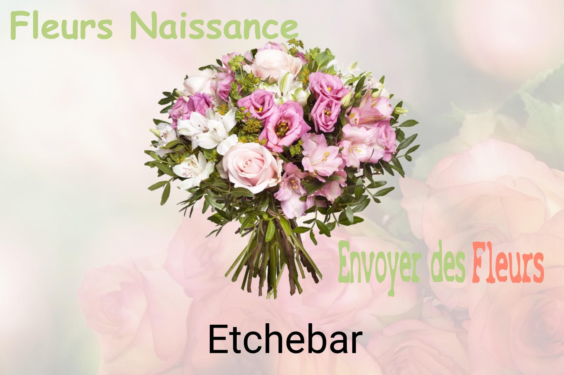 Bouquet de fleurs de naissance livré à Etchebar